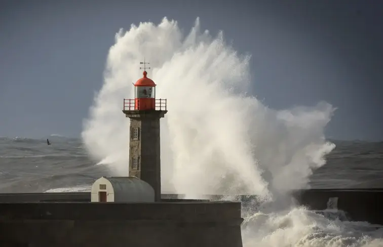 Agitação marítima